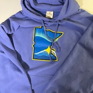 Blue Graphic Minnesota Hoodie